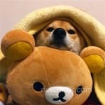 Avatar de Lucía Morales