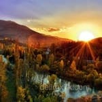 Avatar de Matías Pellegrín